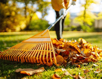 Churchyard Leaf Clearance